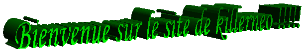 logo.gif (12161 octets)